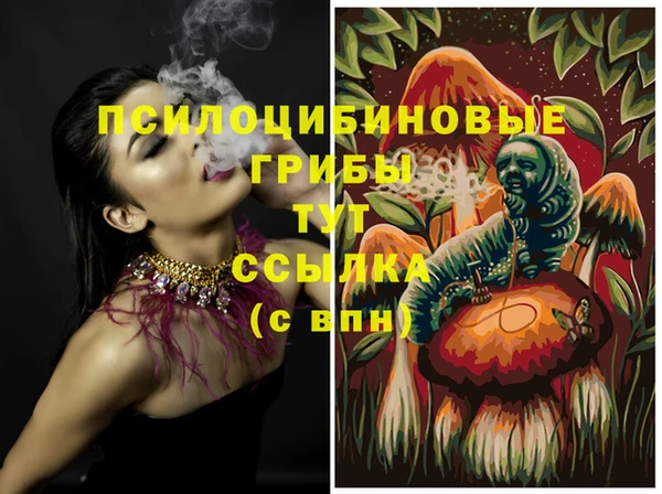 соль курить ск Горнозаводск