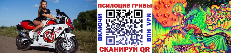 Псилоцибиновые грибы Psilocybe Бологое